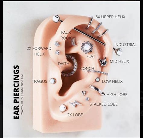 All Ear Piercings Chart