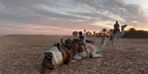 Tourmag La Tunisie Une Destination De Soleil Dhiver à Redécouvrir
