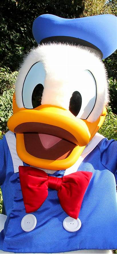 Cartoons Duck Donald Mascot Character Anime Devices