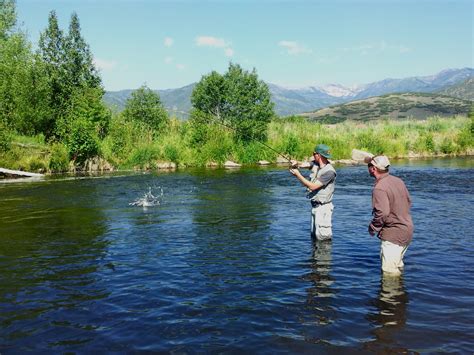 Utah Fly Fishing The Year Of The Dry — Park City Fly Fishing Guides