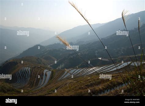 China Guangxi Dragon Backbone Rice Terraces Longji Titian View From Above At Sunset Stock Photo