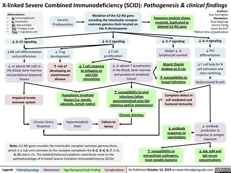 X Linked Severe Combined Immunodeficiency Pathogenesis And Clinical