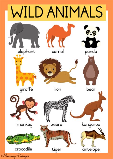 Different types of animals - Teacha!