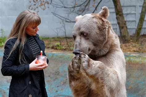 Von Winnie Pooh Bis Olympia Mischka Die Fünf Berühmtesten Russischen Bären Russia Beyond De