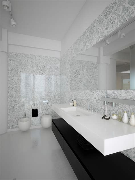 Black White Contemporary Bathroom Design Interior Design Ideas