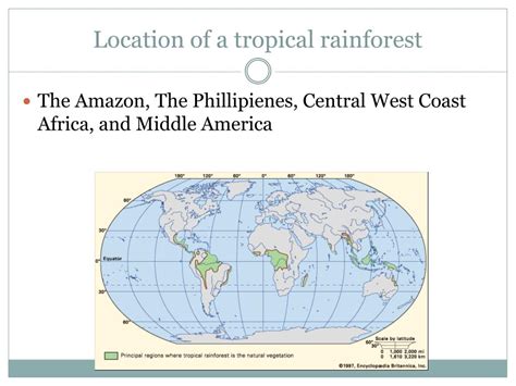 It has the highest biodiversity of all the earth's ecosystems, both in flora and fauna as well as microbes. PPT - Subtropical Rainforest PowerPoint Presentation, free download - ID:2219296