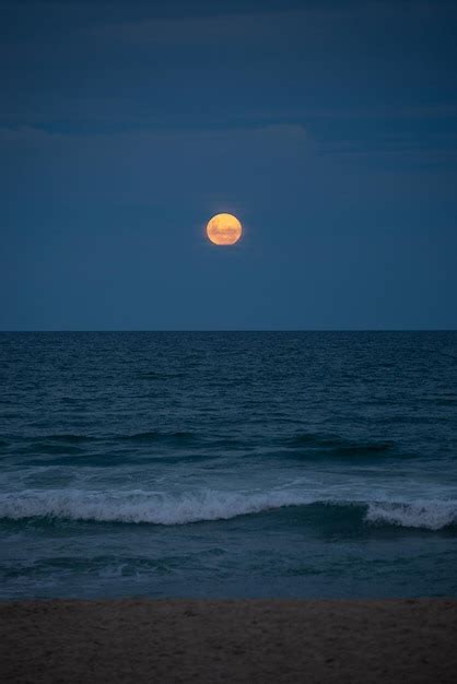 Luna Llena Sobre El Mar Foto Premium