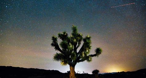 27 Best Things To Do In Joshua Tree In 2023 Travel Lemming