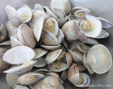 Any steamers that didn't open should be discarded. New England Clam Chowder Recipe | Fall Is Here {Sort Of ...