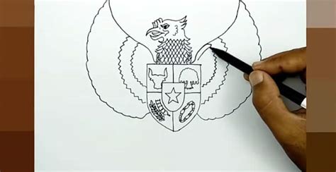 √ 47 Cara Menggambar Burung Hantu Garuda Merak And Elang