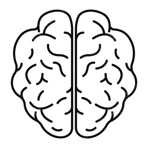 Brain Front View Clipart Hd Png Top View Brain Icon Brain Drawing