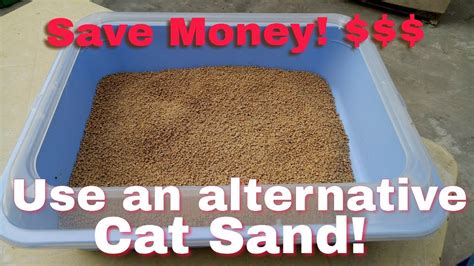 Cheap Cat Sand An Alternative Litter Sand For Your Cats Cat Litter