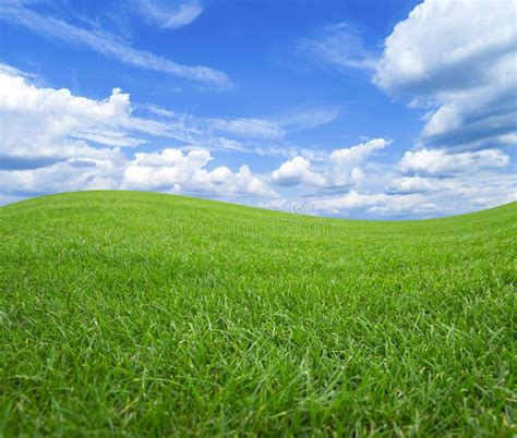 Green Field Against The Blue Sky With White Clouds Stock Image Image