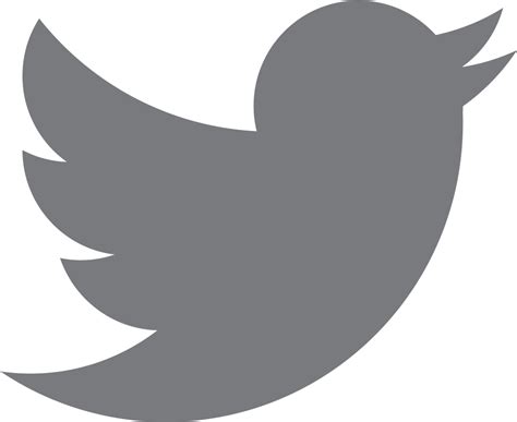 Download Twitter Logo Grey Png Twitter Logo Transparent Purple