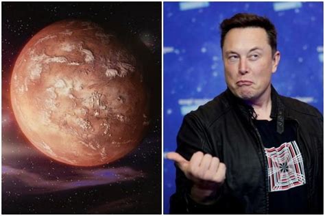 Human Extinction Due To Great Filter Elon Musk Says Mars Colonization