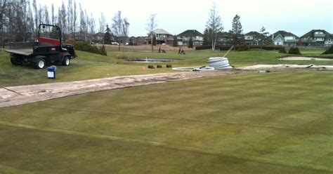 Quilchena Golf Club Turf Care 18 Green Slit Drainage Update 2