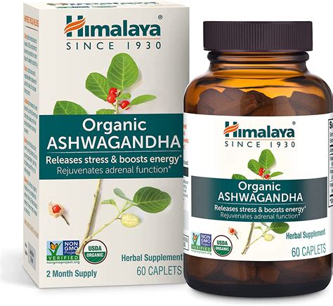Ranking The Best Ashwagandha Supplements Of 2022 2022