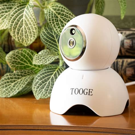 As you can see, there are some pros and cons to both types of pet surveillance system. Tooge Pet Camera Review: The Best Budget Pet Camera