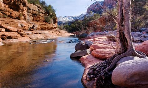 Coconino National Forest In Arizona Alltrips