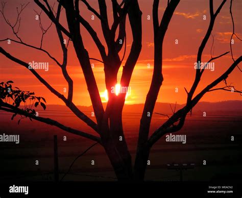 Sun Shining Through Trees Stock Photo Alamy