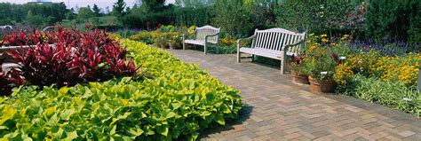 Plants In A Botanical Garden Circle Photograph By Panoramic Images