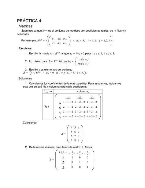 SOLUTION Teoricap4 Matrices Y Determinantes Studypool