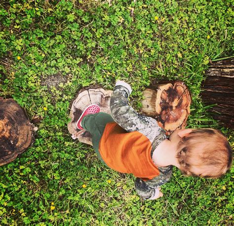 Redwood Forest School