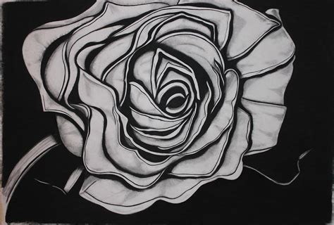 Eye Of The Rose Drawing By Kimerer Lamothe