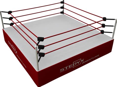 How Much Does It Cost To Build A Wrestling Ring Kobo Building