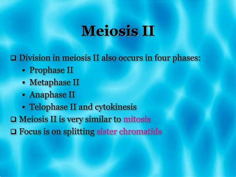 Ppt Meiosis Powerpoint Presentation Free Download Id1824618