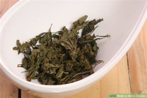 Cilantro loves cool temperatures and should be stored in the refrigerator. 4 Ways to Store Cilantro - wikiHow