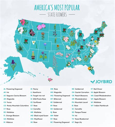 Find Out Which Flower is Most Popular in Your State | Popular flowers, Most popular flowers ...