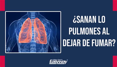 Dejar De Fumar Se Recuperan Los Pulmones Al Dejar De Fumar