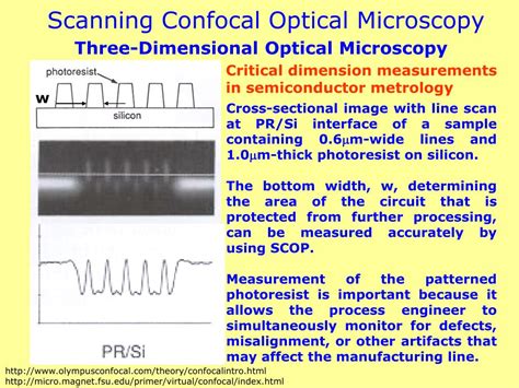 Ppt Lecture 2 Optical Microscopy Powerpoint Presentation Free