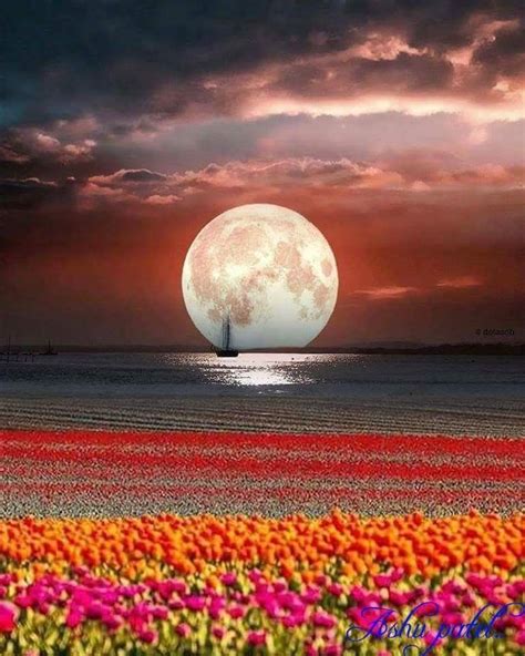 Güzel♥ Beautiful ♥ Beautiful Moon Beautiful Nature Nature Pictures