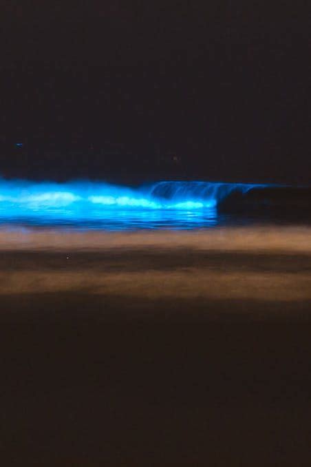 5 Bioluminescent Beaches That Will Blow Your Mind Beautiful