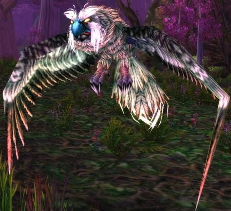 Strigid Owl Npc Classic World Of Warcraft