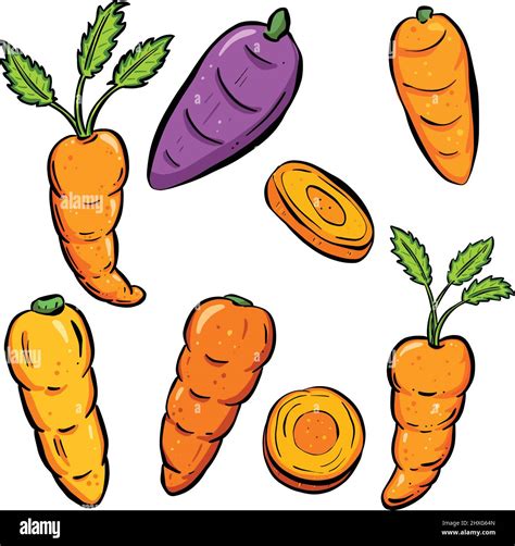 Cartoon Style Carrot Vegetables Roots And Pieces Collection Stock