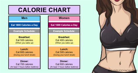 It is difficult to set absolute bottom calorie levels, because everyone has different body composition and activity levels. How Many Calories You Should Eat Per Day To Lose Weight ...