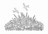 Swallows Flowerbed sketch template