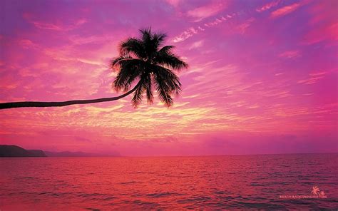 Pink Beach Sunset Wallpapers Top Free Pink Beach Sunset Backgrounds Wallpaperaccess
