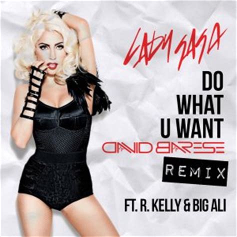 Do What U WantLady Gaga Ft R Kelly Big Ali VirDiKO