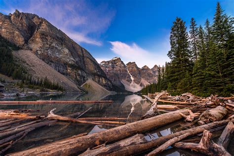 Brown Cut Trees On Water During Daytime Moraine Lake Banff National