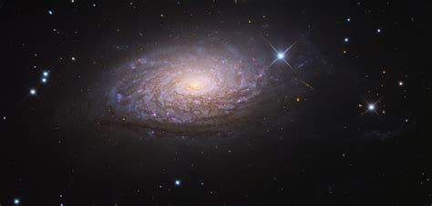 Sunflower Galaxy Messier 63 M63 Constellation Guide