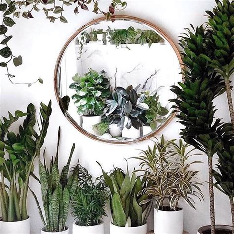10 Mirror With Plants Around It Decoomo