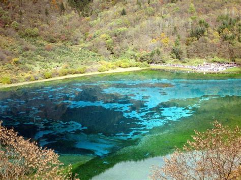 Five Flower Lake At Jiuzhaigou National Park China