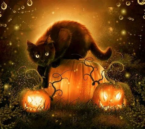 A Cat Sitting On Top Of A Pumpkin With Two Jack O Lanterns