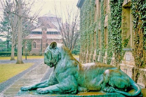 Photo Of Nassau Hall Tiger Sculpture By Photo Stock Source Art