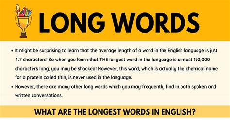 Longest Words In English 19 Unusually Long Words • 7esl