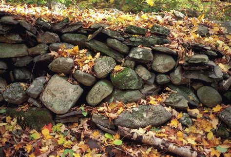 The History Of New Englands Stone Walls Travel Smithsonian Magazine